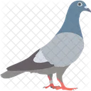 Pigeon Bird Fly Symbol