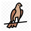 Pigeon Viking Bird Icon