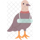 Pigeon Carrier Message Icon