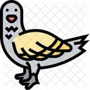 Pigeon Bird Dove Icon