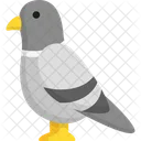 Pigeon  Icon