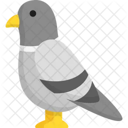 Pigeon  Icon