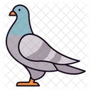 Pigeon Icon