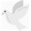 Pigeon Peace Dove Icon