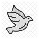 비둘기 전령비둘기 경주비둘기 아이콘