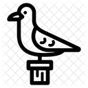 Pigeon Bird Columbidae Dove Icon