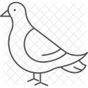 Pigeon Bird City Icon