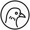 Pigeon Dove Avian Icon