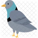 Pigeon  Icon