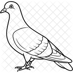 Pigeon  Icon