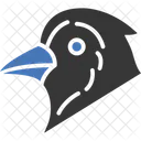 Pigeon  Icon