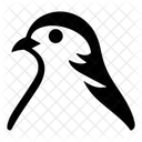 Bird Animal Pigeon Icon