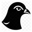 Bird Animal Pigeon Icon