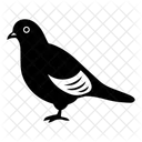 Bird Animal Pigeon Icon