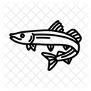 Pike Predator Fish Icon