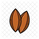 Pili Nut  Icon