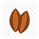 Pili Nut  Icon