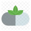 Pill Homeopathy Holistic Icon