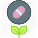 Pills Green Pill Natural Icon