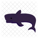 Pilot Whale Whale Marine Animal Icon