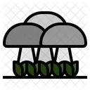 Pilz Champignon Austernpilz Symbol