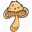 Pilz Shiitake Pilz Pilze Symbol