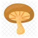 Pilz  Symbol