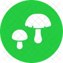 Pilz Gemuse Pflanze Pilze Icon