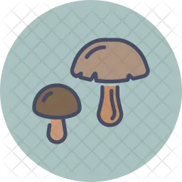 Pilz  Symbol