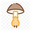 Pilz  Symbol