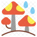 Pilz  Symbol