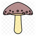 Pilz  Symbol