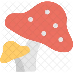Pilz  Symbol