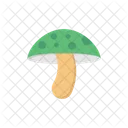 Pilz Pflanze Wulstling Symbol