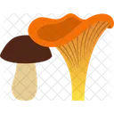 Pilz  Symbol