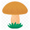 Pilz Giftpilz Pilz Symbol