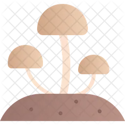 Pilz  Symbol