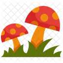 Pilz  Symbol