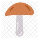 Pilz  Symbol