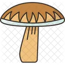 Pilz  Symbol