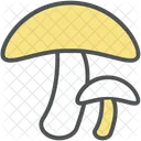 Pilz  Symbol