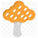 Pilz  Symbol