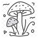 Pilz  Symbol