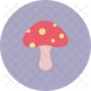 Pilz Pflanze Fruhling Symbol