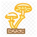 Pilz  Symbol