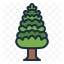 Pime Pine Tree Icon