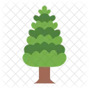 Pime Pine Tree Icon