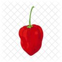 Piment Rouge Legume Bio Icon