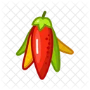 Pimenta Comida Vegetal Ícone