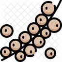 Pimienta Verdura Fibra Icono